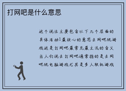 打网吧是什么意思